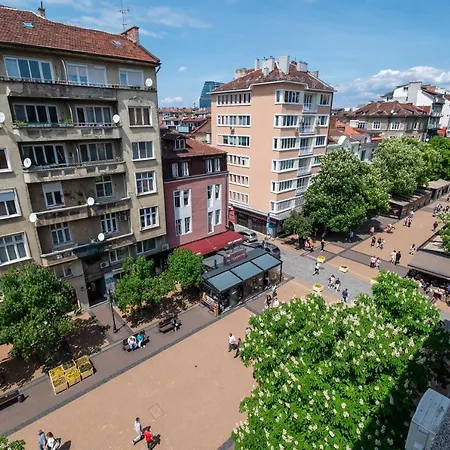 Vitoshka's Finest Apartamento